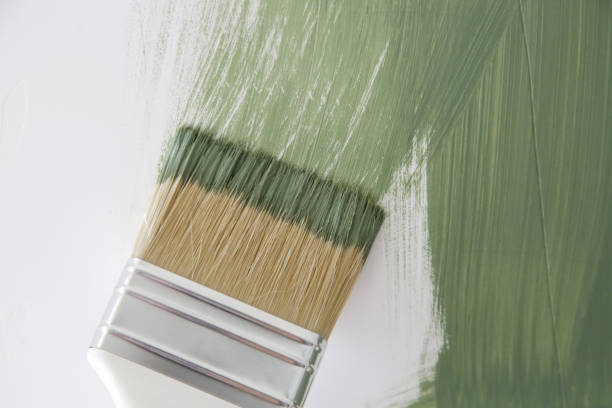 Best Attic Mold Removal  in Pueblo, CO