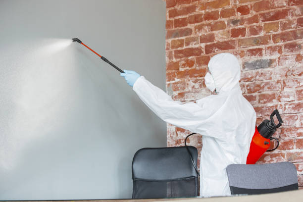 Best Mold Remediation for Healthcare Facilities  in Pueblo, CO