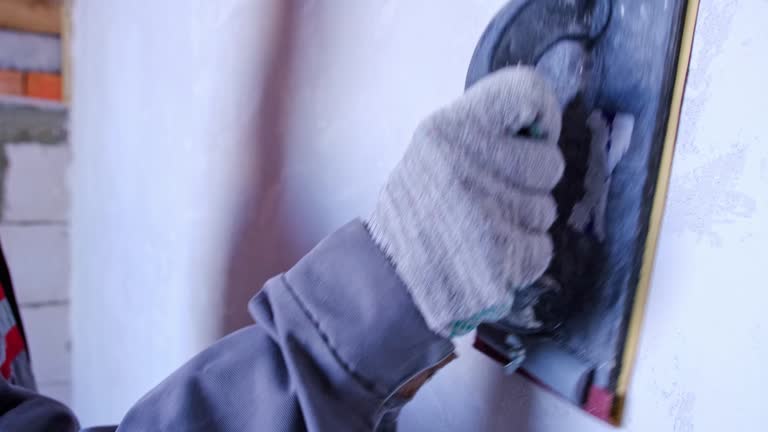 Best Mold Damage Restoration  in Pueblo, CO