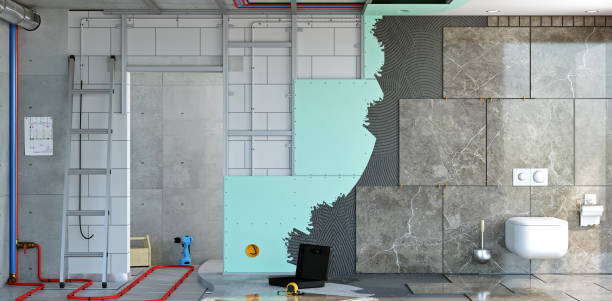 Professional Mold Removal in Pueblo, CO