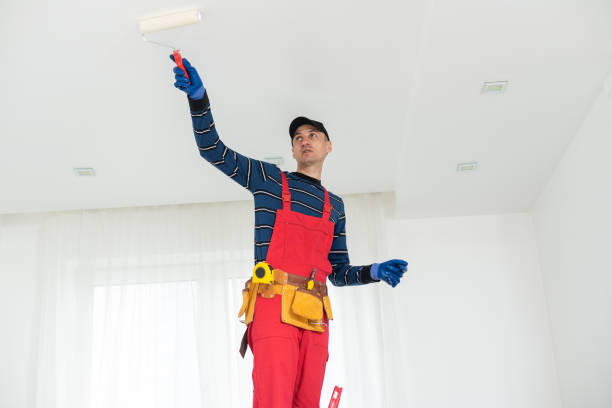 Best Comprehensive Air Testing for Mold Contaminants  in Pueblo, CO