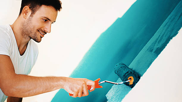 Mold Removal for HVAC Installations in Pueblo, CO
