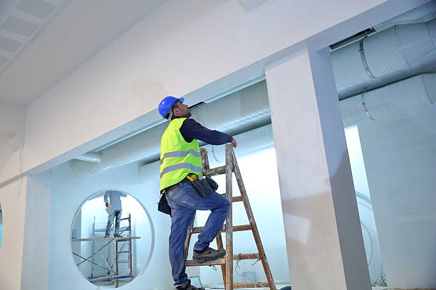 Best Mold Damage Restoration  in Pueblo, CO