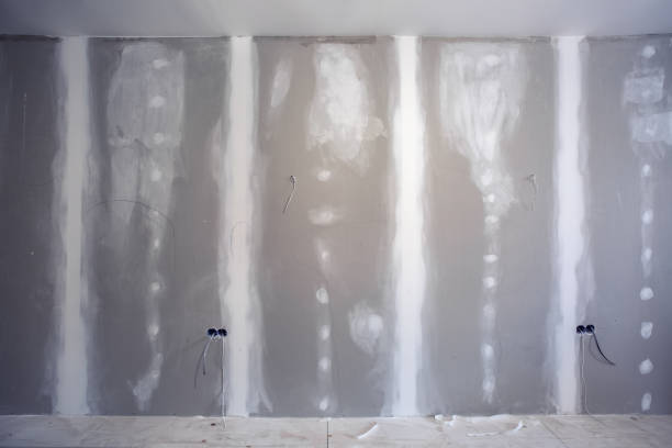 Best Asbestos and Lead Testing During Mold Inspection  in Pueblo, CO